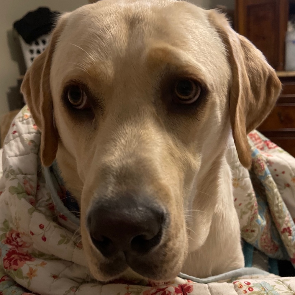 Meet your Posher, Heather